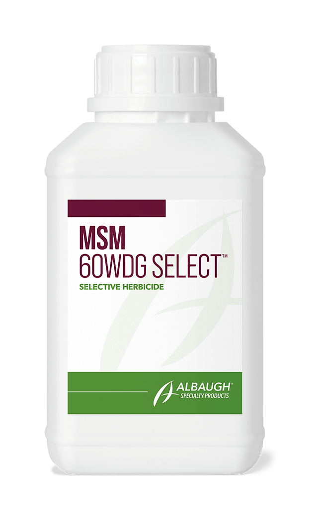 MSM 60WDG Select - Seed World