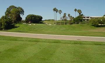 Champion GQ Perennial Ryegrass Seed