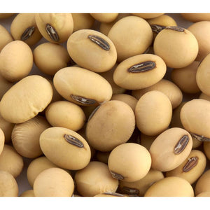 Paul RR Soybeans - Seed World