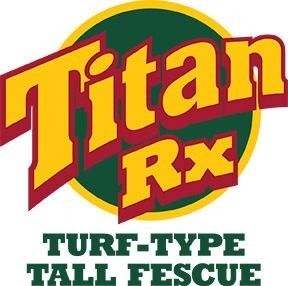 Lush Titan Rx turf-type tall fescue lawn in a backyard with trees, wooden fence, and flower beds.