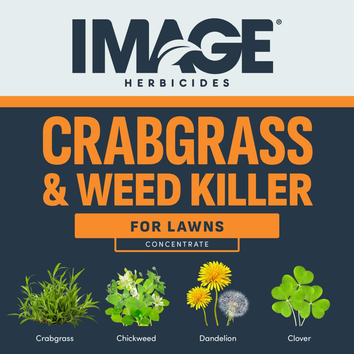 herbicides for grassy weeds Image Crabgrass & Weed Killer
