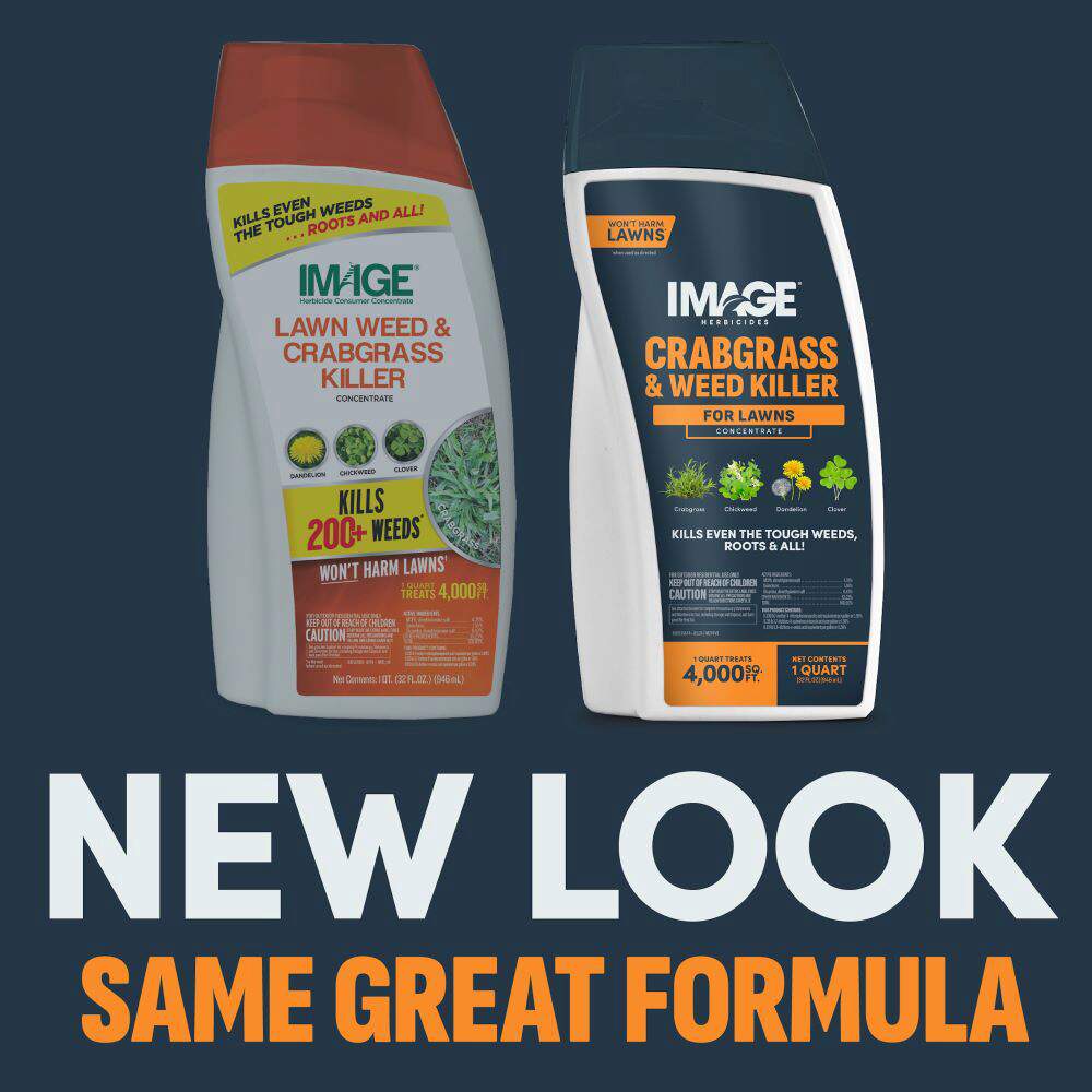 herbicide that kills roots Image Crabgrass & Weed Killer
