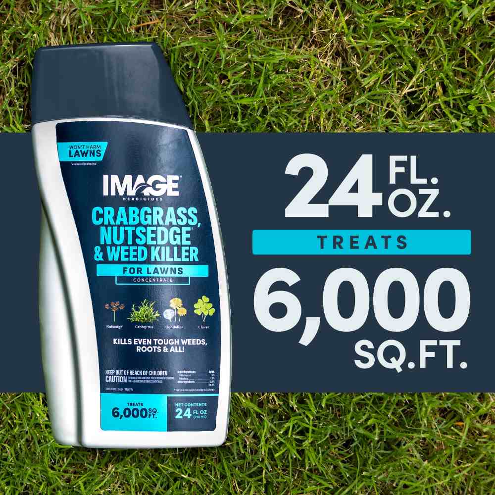 image nutsedge concentrate 24oz herbicide Image Crabgrass And Nutsedge Weed Killer Concentrate– Seed World