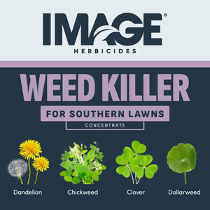 selective herbicide for st augustine grass Image Atrazine for St. Augustine & Centipede Grass– Seed World
