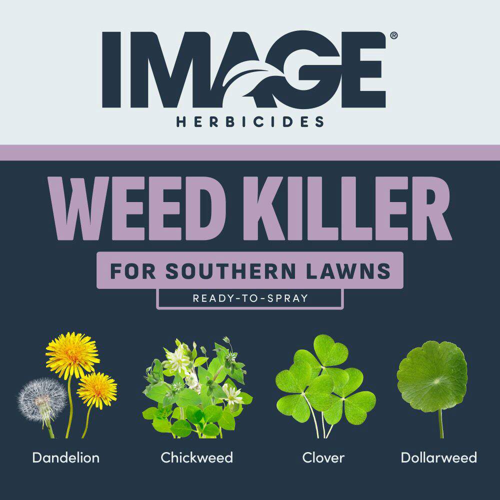 images of herbicides Image Herbicides Weed Killer for Southern Lawns Ready-to-Spray