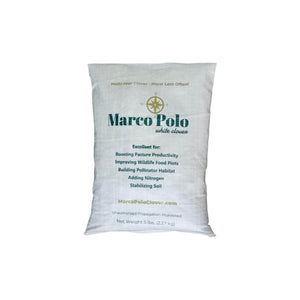 Marco Polo White Clover "Coated" - Seed World