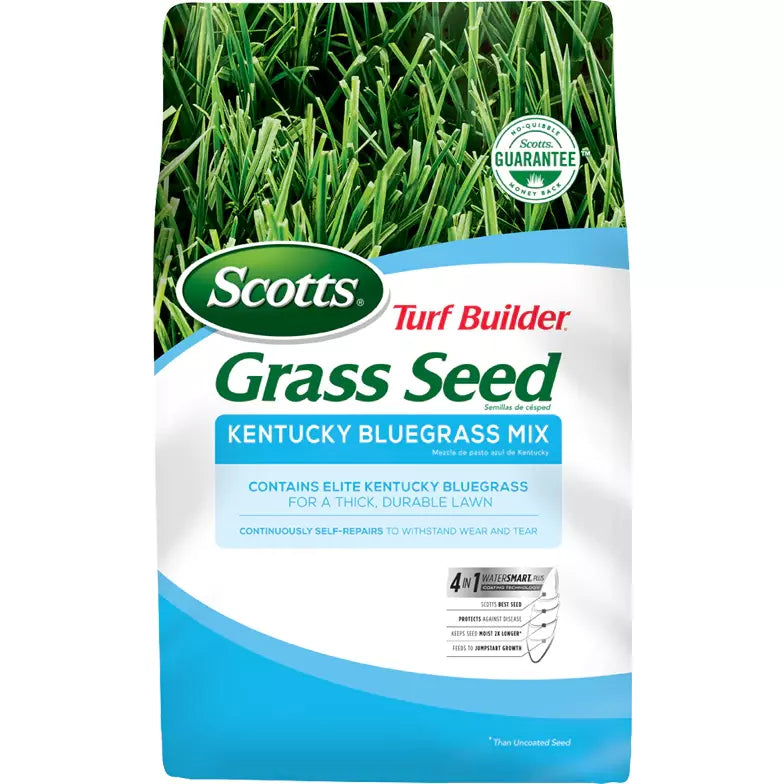 planting scotts grass seed Scotts Turf Builder Grass Seed Kentucky Bluegrass Mix 2.4 lbs