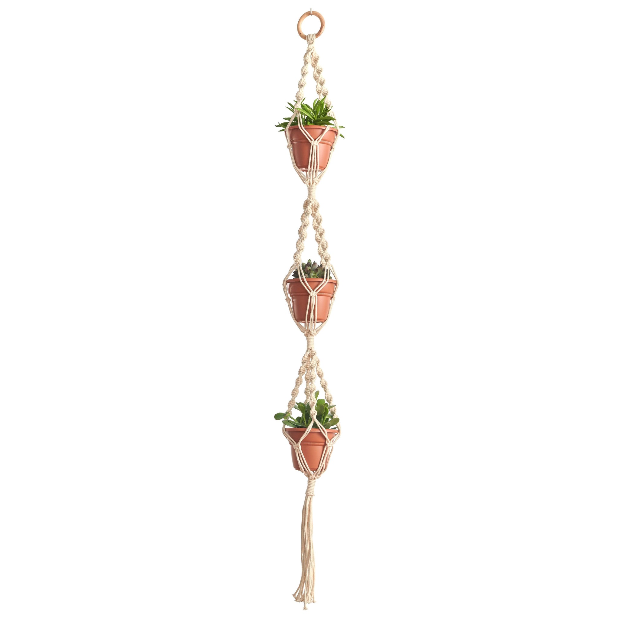 herb plant hanger Plant Hanger Mini Triple Hanger 56"– Seed World