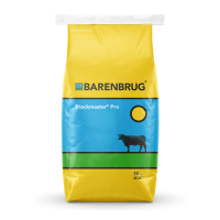 Mojo Crabgrass Seed