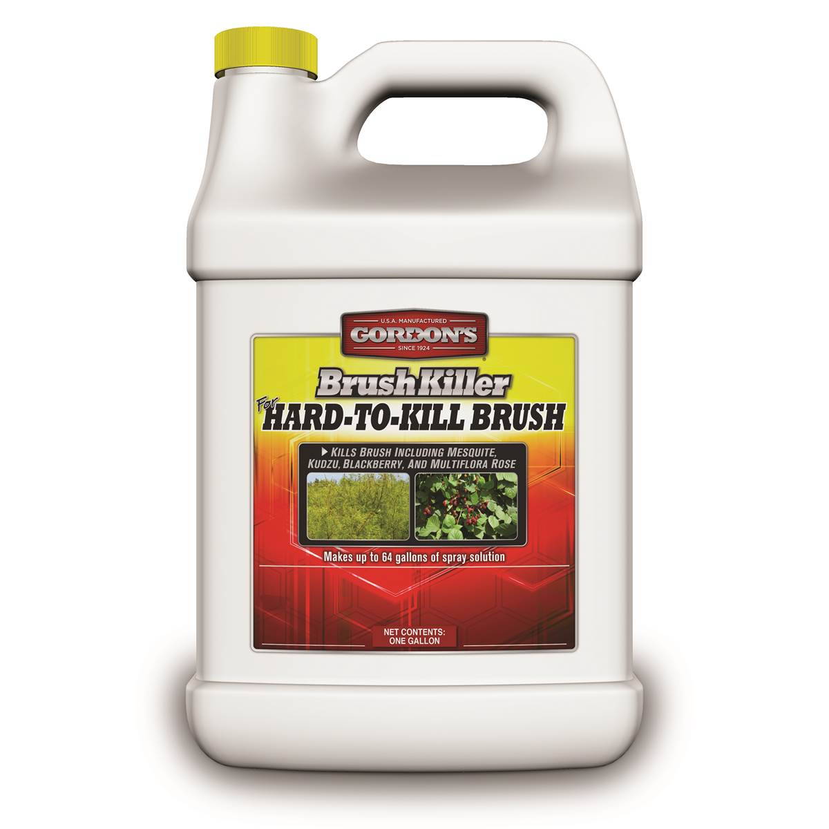 blackberry control herbicide Gordon's 2511072 Brush Killer, 1 gal