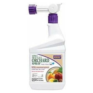 Bonide Citrus, Fruit, and Nut Orchard Spray Insecticide Concentate - 1 qt - Seed World