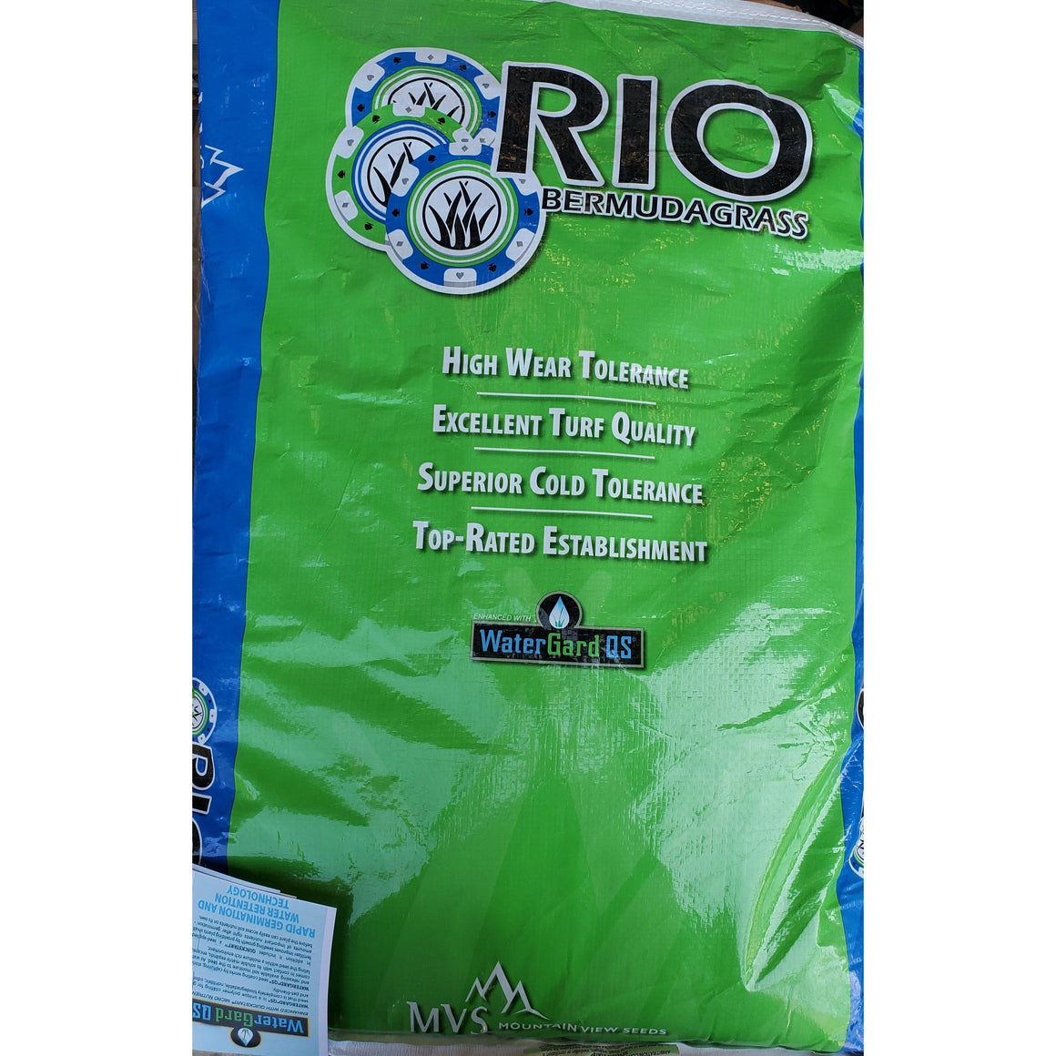 Rio Bermuda Grass Seed - Seed World