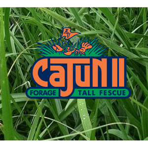 Cajun II Forage Tall Fescue - 50lbs - Seed World