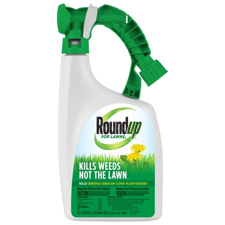 Roundup For Lawns Herbicide - 1 Qt. - Seed World