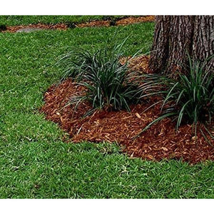 Centipede Grass Seed (Coated) - 4 Oz. - Seed World