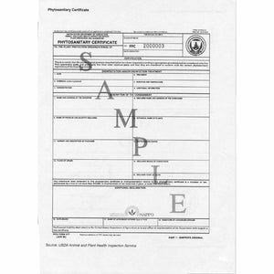 Phytosanitary Certificate - Seed World