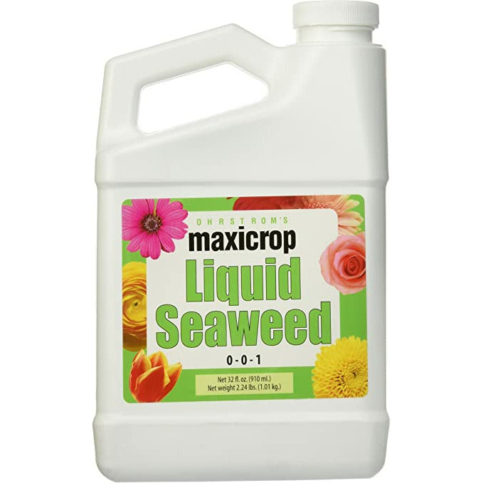 liquid kelp organic seaweed fertilizer 1 gallon of concentrate Maxicrop - Liquid Seaweed