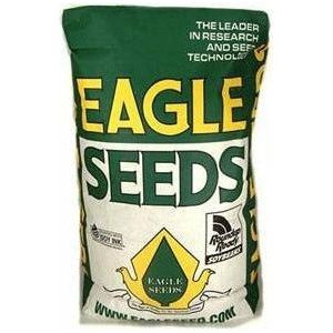 Eagle Big Fellow RR Soybean Seed - Seed World
