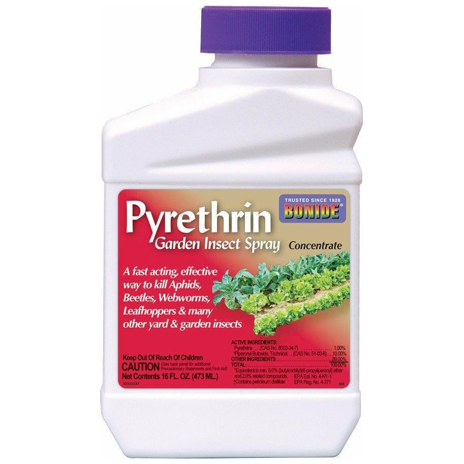 garden spray for insects Bonide Pyrethrin Garden Insect Spray