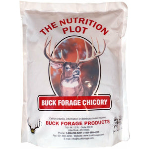 Buck Forage Chicory Seed - 4 Lbs. - Seed World