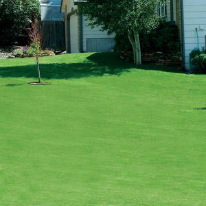 Canada Green Lawn