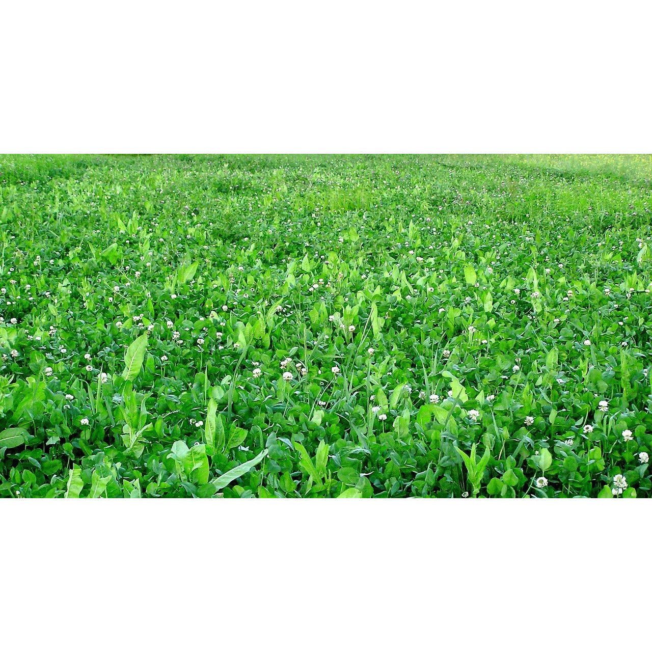 Imperial Whitetail Fusion - 3.15 Lbs / 9.25 Lbs - Seed World