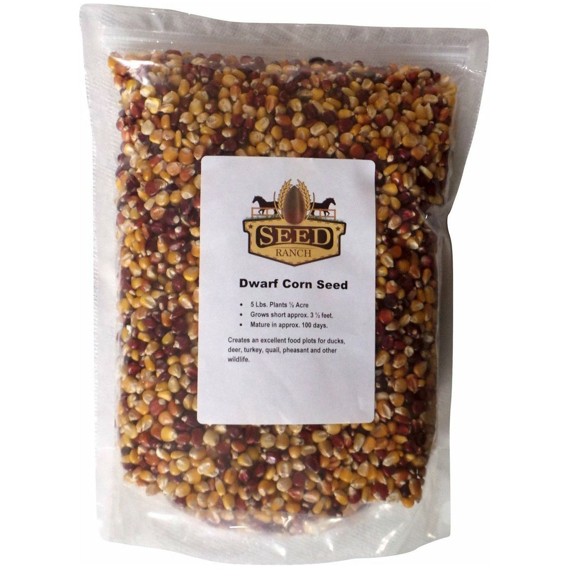 Dwarf Corn Food Plot Seed - 1 Lb. - Seed World
