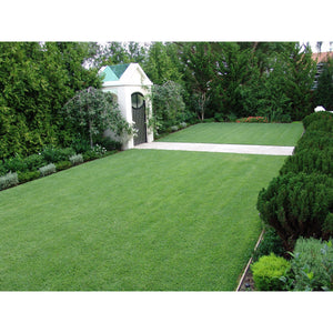 Zoysia Grass Lawn