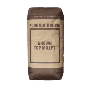 Browntop Millet Seeds | Seed Ranch