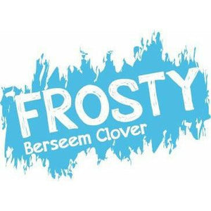 Frosty Berseem Clover Seed - 1 Lb. - Seed World
