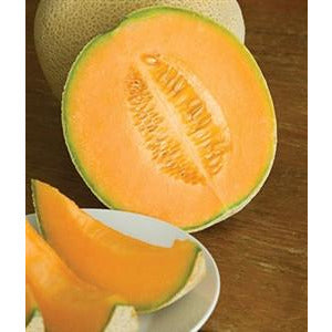 Cantaloupe seed