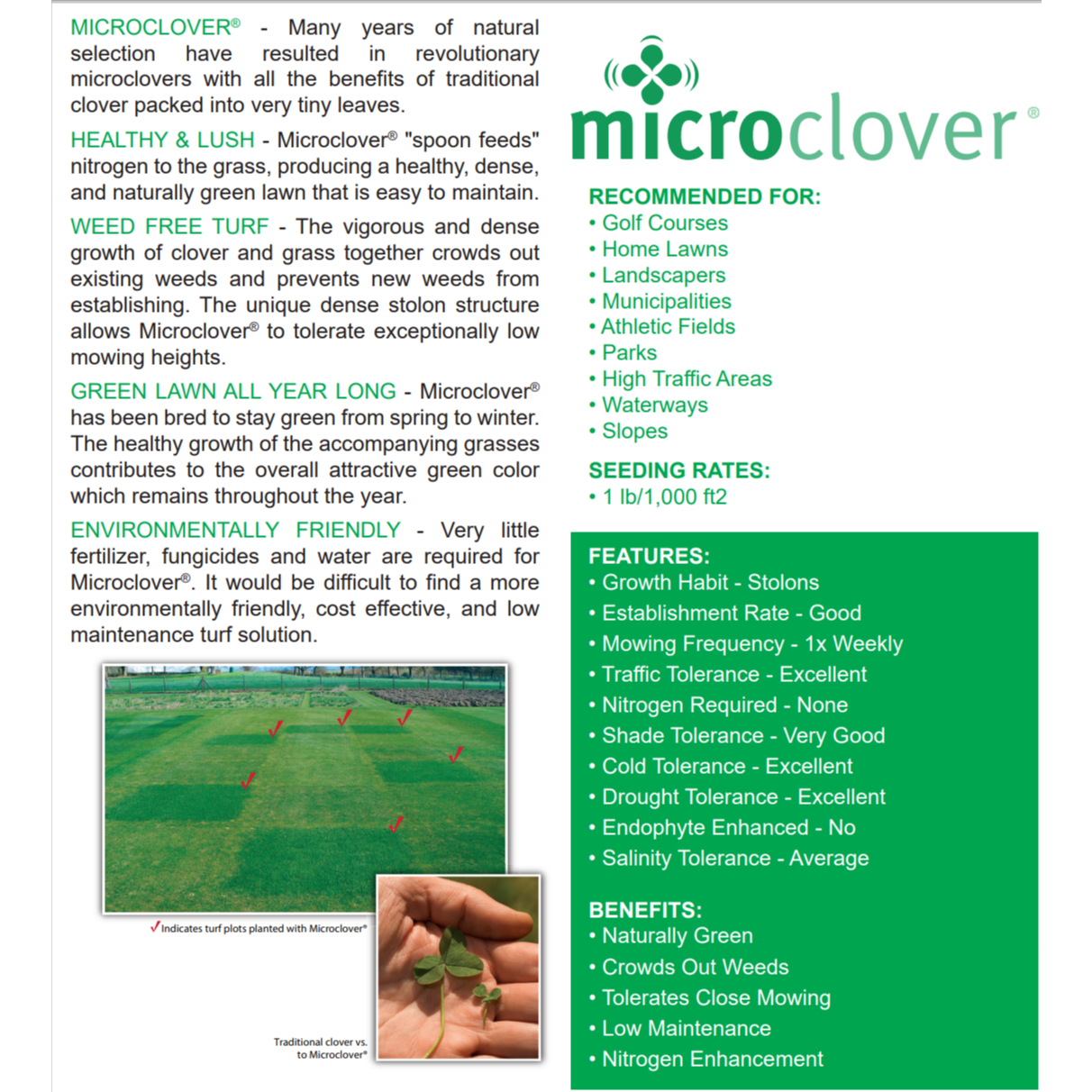 Microclover Roots Microclover