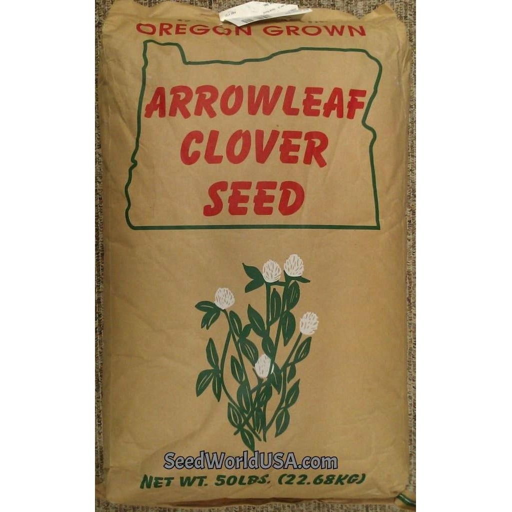 Yuchi Arrowleaf Clover Seed - Seed World