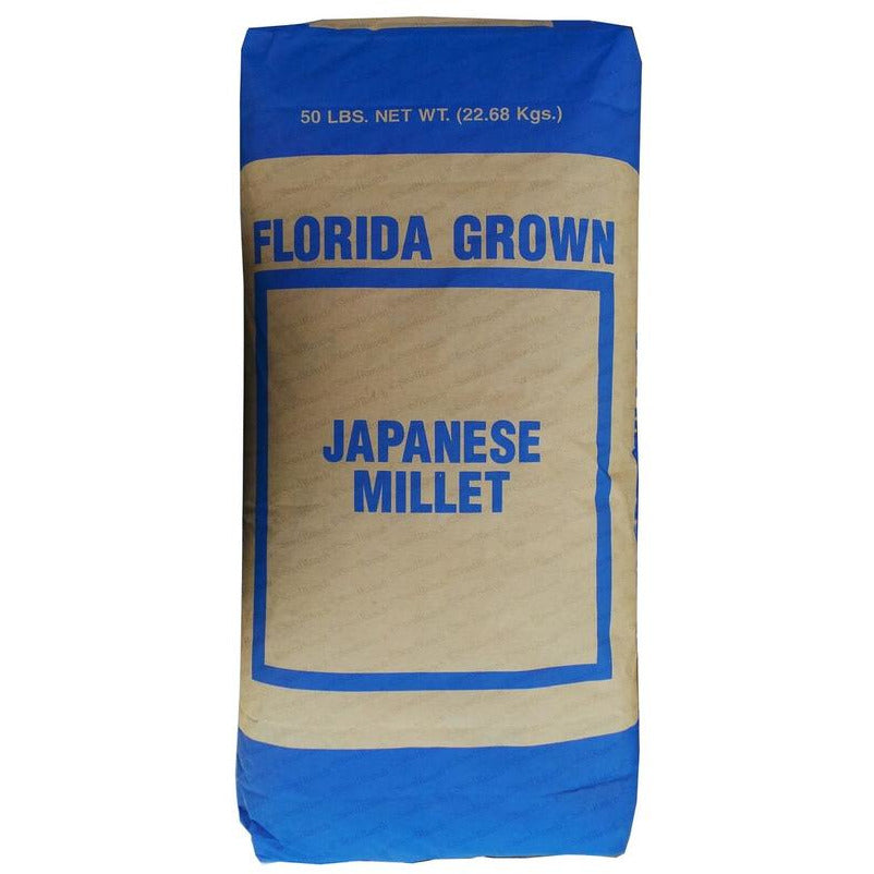 Japanese Millet Seed