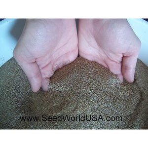 Creeping Bentgrass Seed - 1 Lb. - Seed World