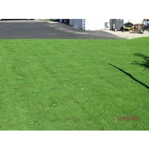 Creeping Bentgrass Seed - 1 Lb. - Seed World