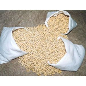 Soybean Seed - 1 Lb. - Seed World