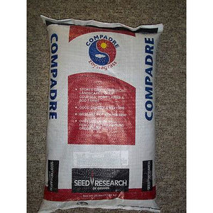 Compadre Zoysia Grass Seed - Seed World