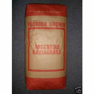 Argentine Bahia Grass Seed (Coated) - Seed World