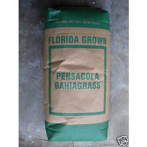 Pensacola Bahia Grass Seed (Coated) - 1 Lb. - Seed World