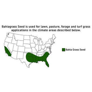 Tifquik Bahia Grass Seed (Certified) - 40 Lbs. - Seed World