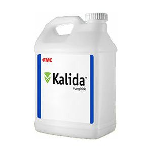 Kalida Fungicide - 64 oz. - Seed World