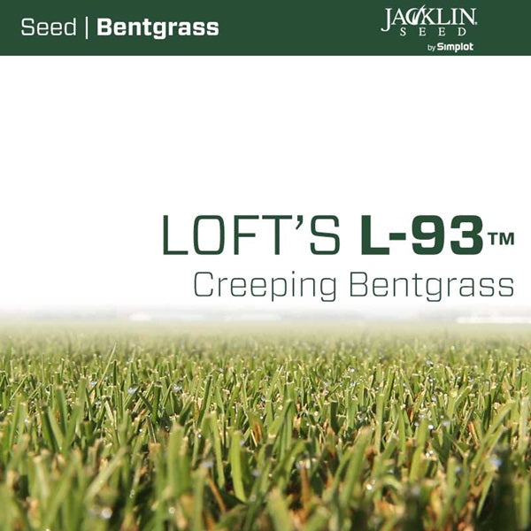 Loft's L-93 Creeping Bentgrass - 25lbs - Seed World