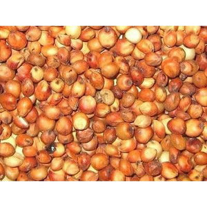 Milo Grain Sorghum Seed - 1 Lb. - Seed World