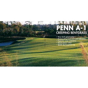 Penn A-1 Bentgrass Seed - 25 Lbs. - Seed World