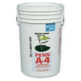 Penn A-4 Bentgrass Seed - 25 Lbs. - Seed World