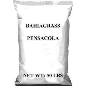 Pensacola Bahia Grass Seed (Raw) - Seed World