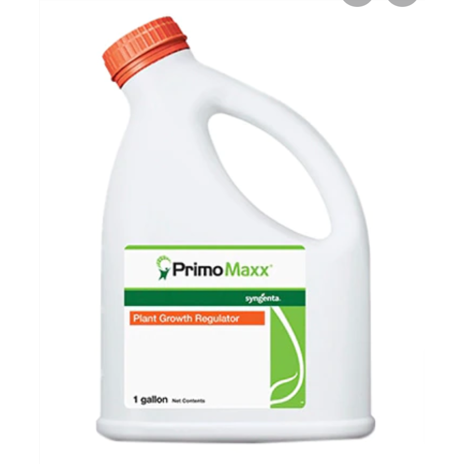 Primo MAXX Plant Growth Regulator - 1 Gallon - Seed World