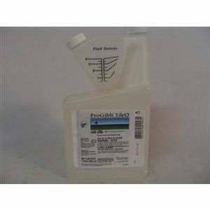 ProGibb T&O PGR - 1 Quart - Seed World