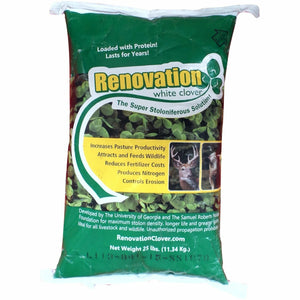 Renovation White Clover Seed - 1 Lb. - Seed World